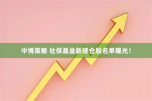 中博策略 社保基金新建仓股名单曝光！