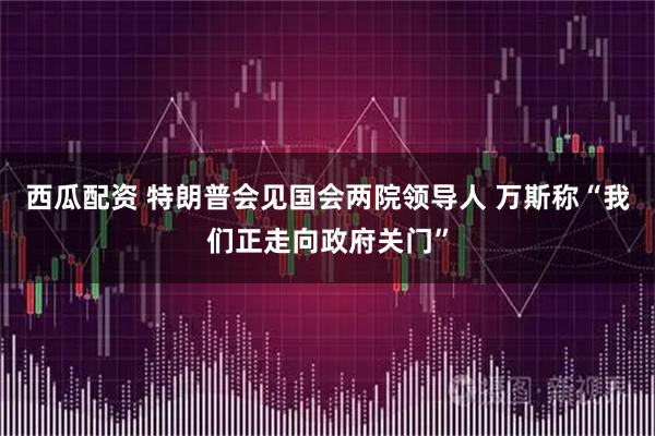 西瓜配资 特朗普会见国会两院领导人 万斯称“我们正走向政府关门”