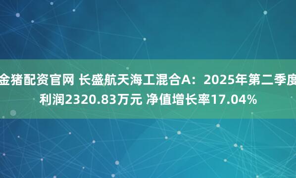 金猪配资官网 长盛航天海工混合A：2025年第二季度利润2320.83万元 净值增长率17.04%