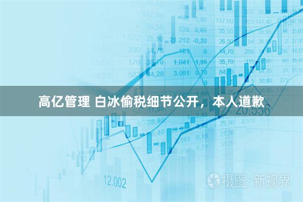 高亿管理 白冰偷税细节公开，本人道歉